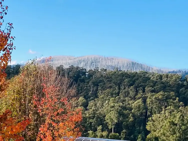 Fifth view of Homely house listing, 2/10 Darwin Street, Marysville VIC 3779