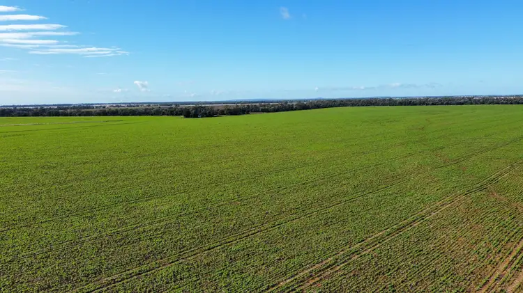 Main view of Homely rural property listing, 356 Mungle Road, North Star NSW 2408