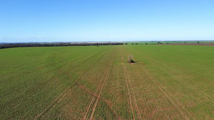 Second view of Homely rural property listing, 356 Mungle Road, North Star NSW 2408