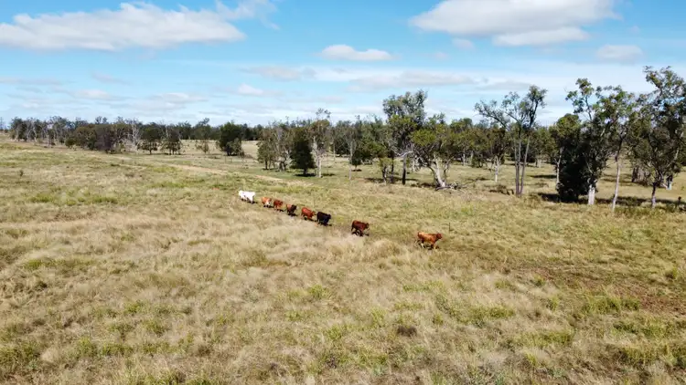 Main view of Homely rural property listing, 5614 Surat Development Road, Glenmorgan QLD 4423