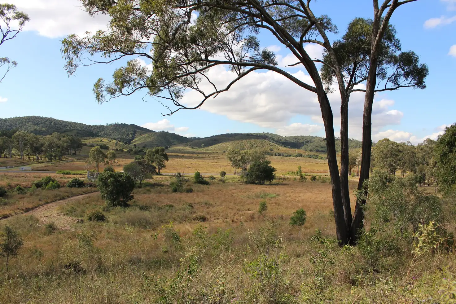 Main view of Homely rural property listing, Lot 4/471 Darts Creek Road, Darts Creek QLD 4695