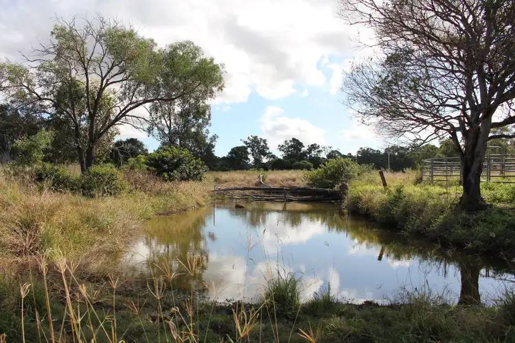 Fifth view of Homely rural property listing, Lot 4/471 Darts Creek Road, Darts Creek QLD 4695