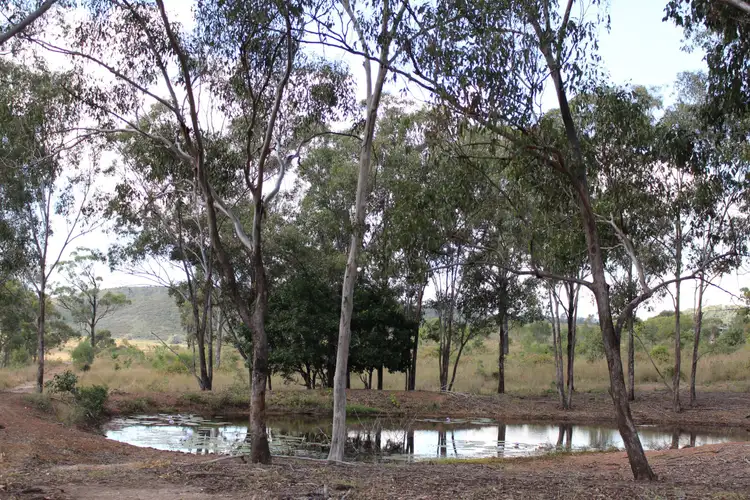 Seventh view of Homely rural property listing, Lot 4/471 Darts Creek Road, Darts Creek QLD 4695