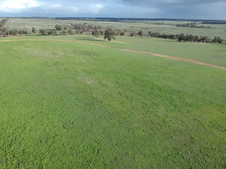 Seventh view of Homely rural property listing, Lot 5688 Jingalup Road, Jingalup WA 6395