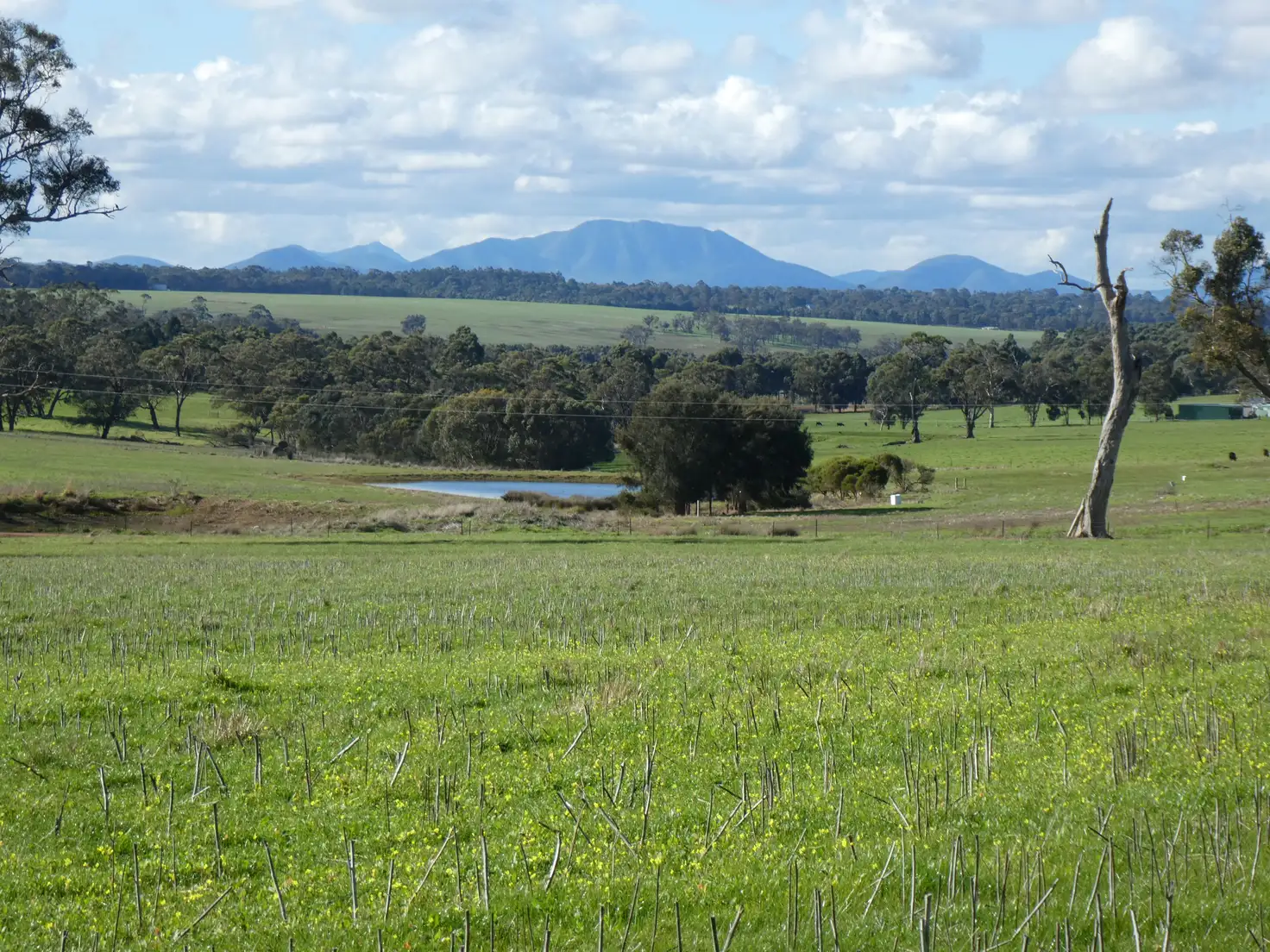 Main view of Homely land listing, LOT 239, 170 West Beattie Road, Mount Barker WA 6324