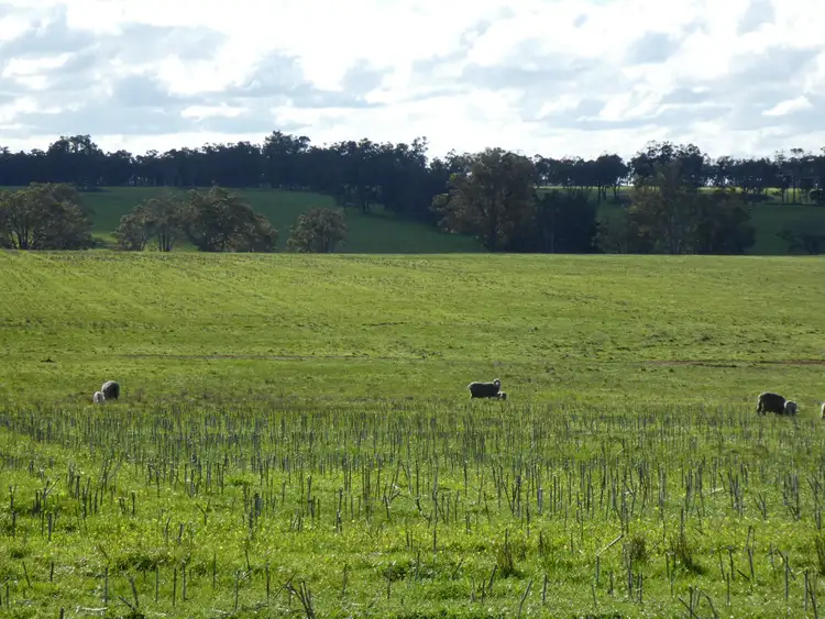Second view of Homely land listing, LOT 239, 170 West Beattie Road, Mount Barker WA 6324