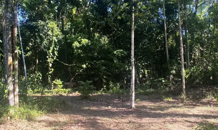 Fourth view of Homely land listing, 73 Cutten Street, Bingil Bay QLD 4852