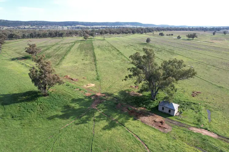 'Missy's Run' 43 Wilmar Lane, Forbes NSW 2871
