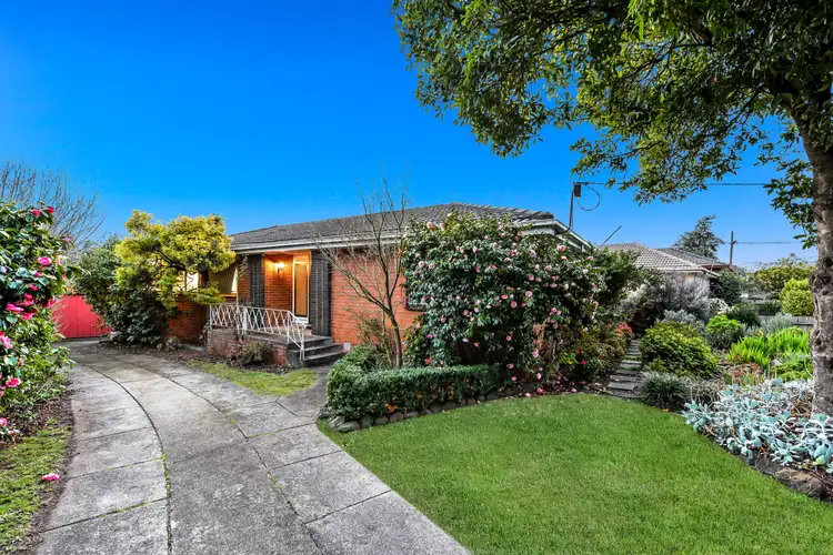 19 Wattle Grove, Mulgrave VIC 3170