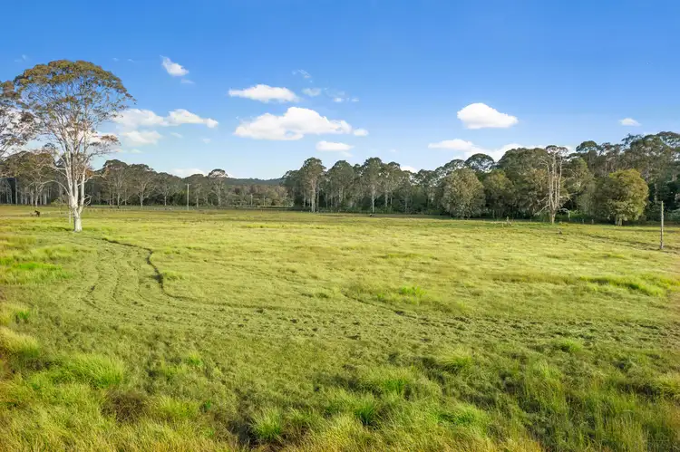 Main view of Homely rural property listing, 91 Sauls Road, Mandalong NSW 2264