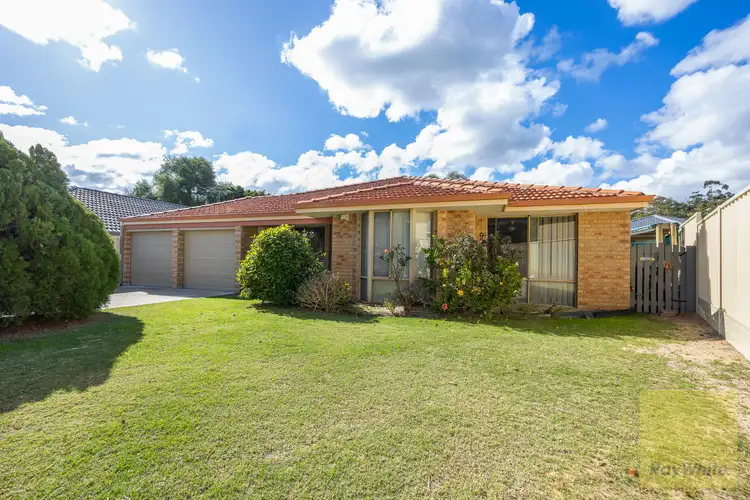 55 Mint Circuit, Banksia Grove WA 6031