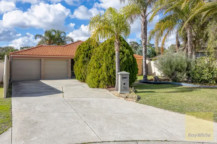 Second view of Homely house listing, 55 Mint Circuit, Banksia Grove WA 6031