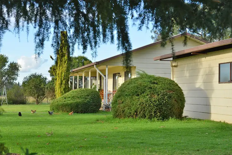 Main view of Homely rural property listing, 4704 Kintyre MENDOORAN Road, Coonabarabran NSW 2357