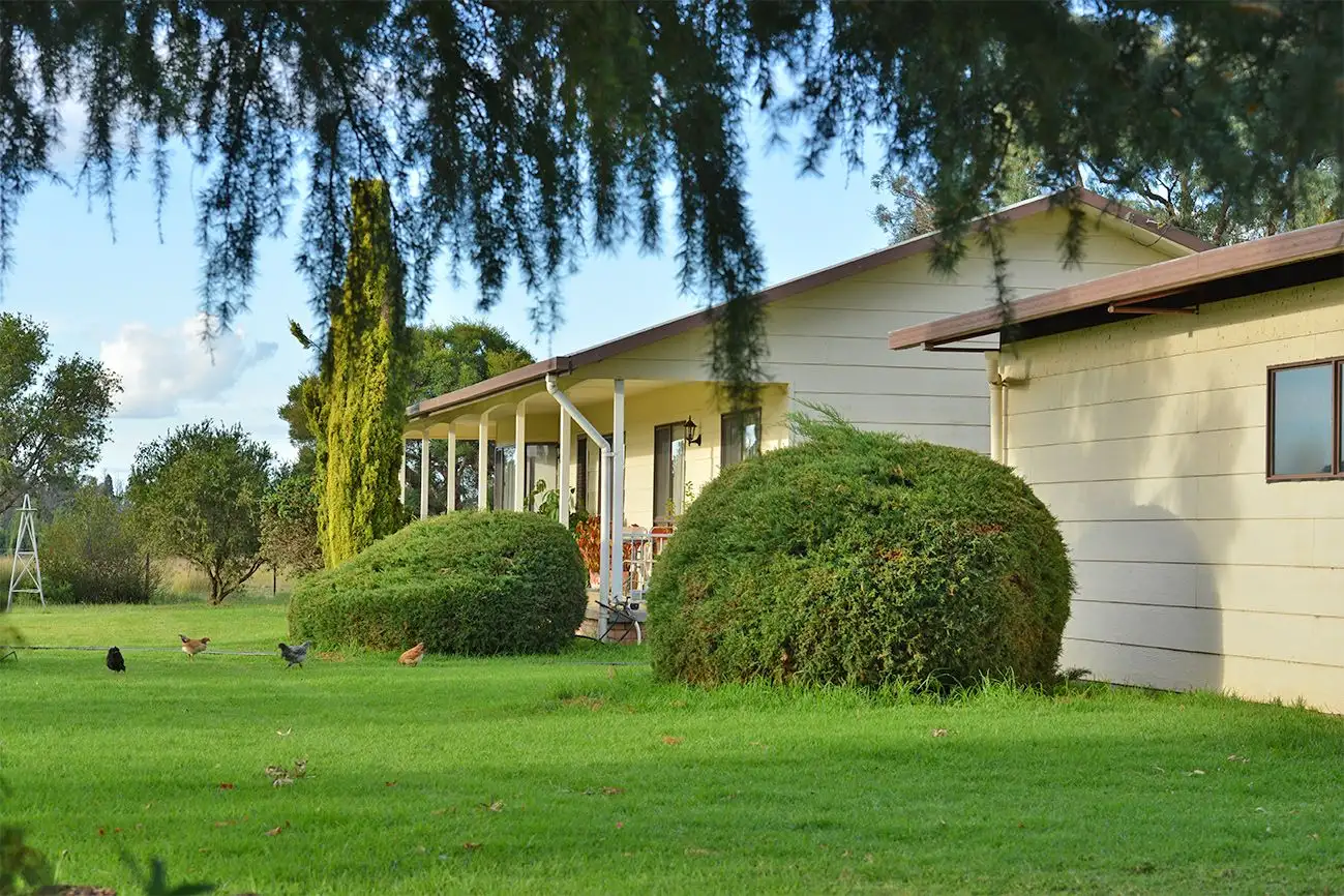 Main view of Homely rural property listing, 4704 Kintyre MENDOORAN Road, Coonabarabran NSW 2357