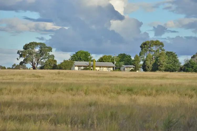 Fourth view of Homely rural property listing, 4704 Kintyre MENDOORAN Road, Coonabarabran NSW 2357
