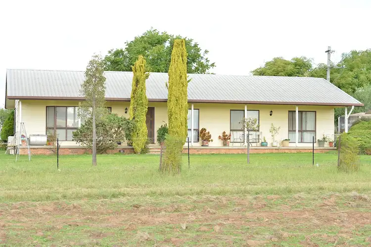 Sixth view of Homely rural property listing, 4704 Kintyre MENDOORAN Road, Coonabarabran NSW 2357