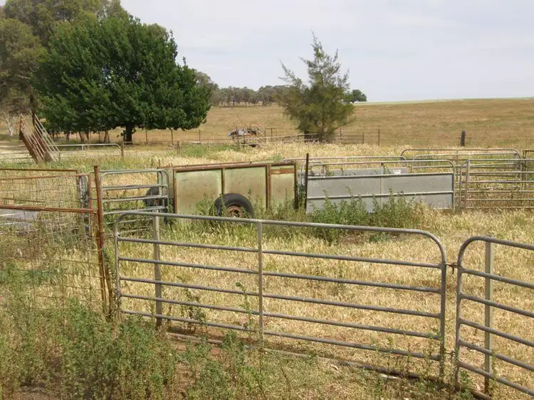 Fifth view of Homely rural property listing, 821 Scenic Drive, Manildra NSW 2865