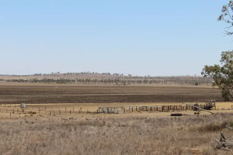 Fifth view of Homely rural property listing, 3723 Pechey Maclagan Road, Brymaroo QLD 4403