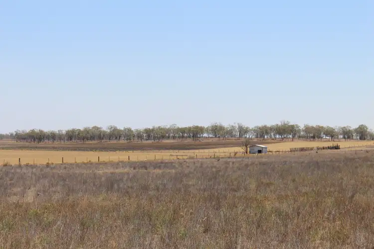 Sixth view of Homely rural property listing, 3723 Pechey Maclagan Road, Brymaroo QLD 4403