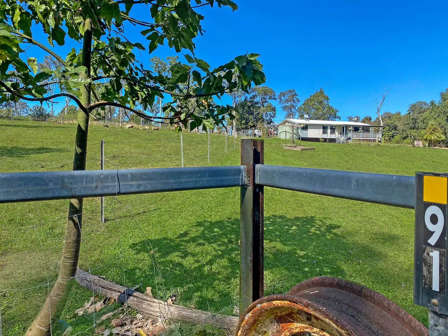 Main view of Homely house listing, 91 Dunn Road, Sarina Range QLD 4737