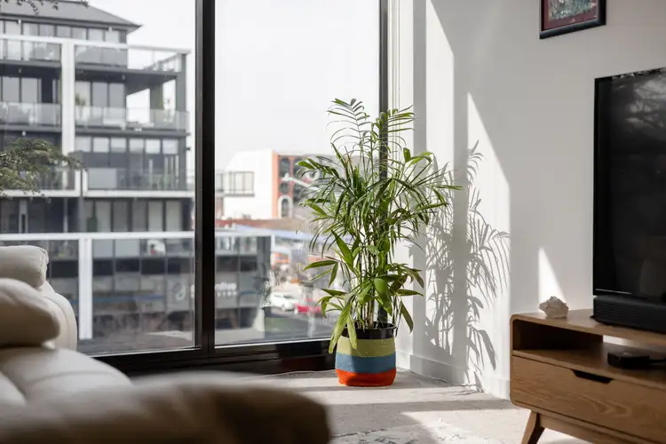 Main view of Homely apartment listing, 429/1 Elouera Street, Braddon ACT 2612