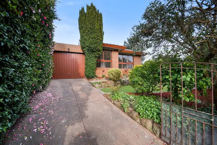 1/20 Brolga Street, Mount Waverley VIC 3149