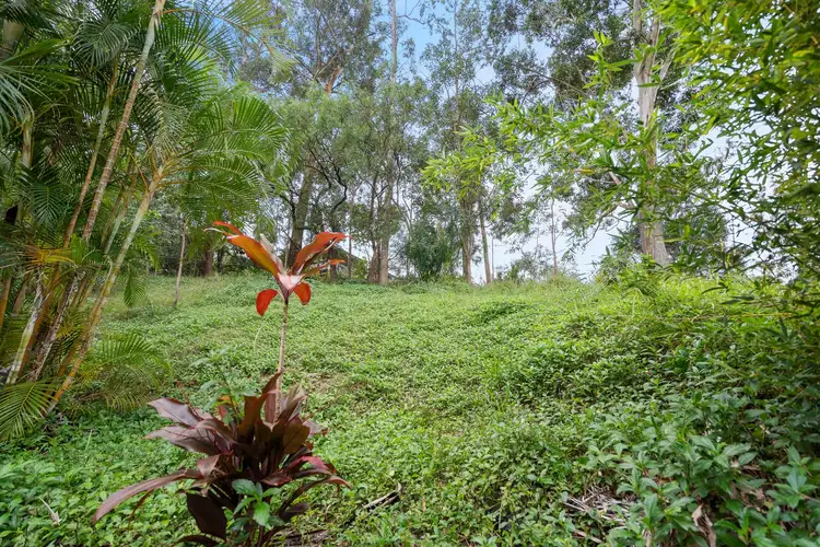Fifth view of Homely house listing, 19 Bronhill Street, Currumbin Waters QLD 4223