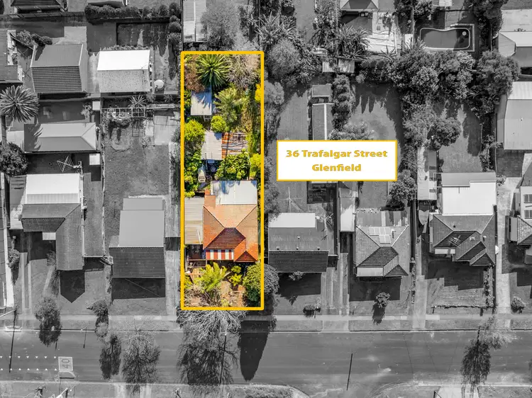 36 Trafalgar Street, Glenfield NSW 2167