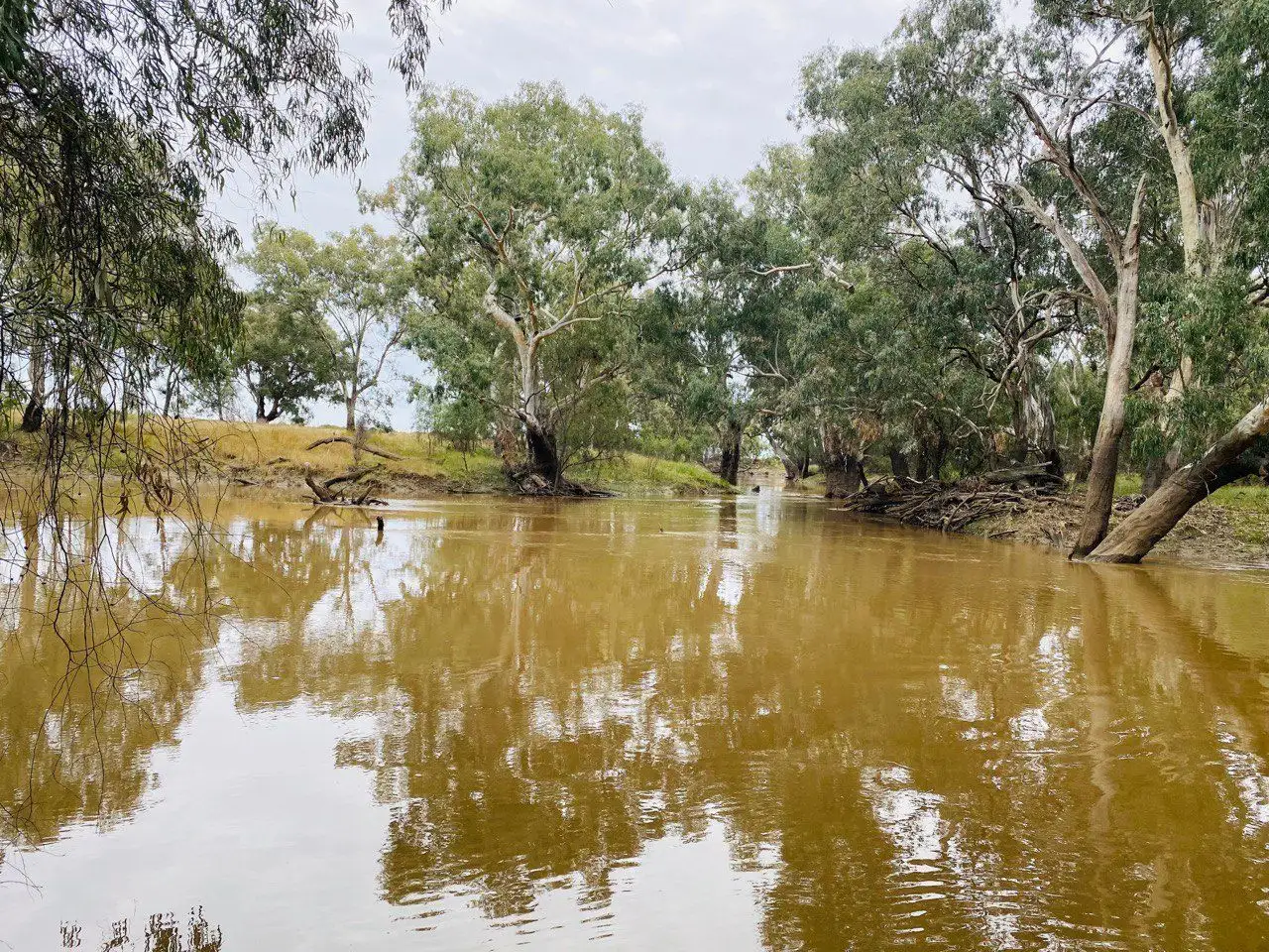 Main view of Homely land listing, 92 Officers Parade, Condobolin NSW 2877