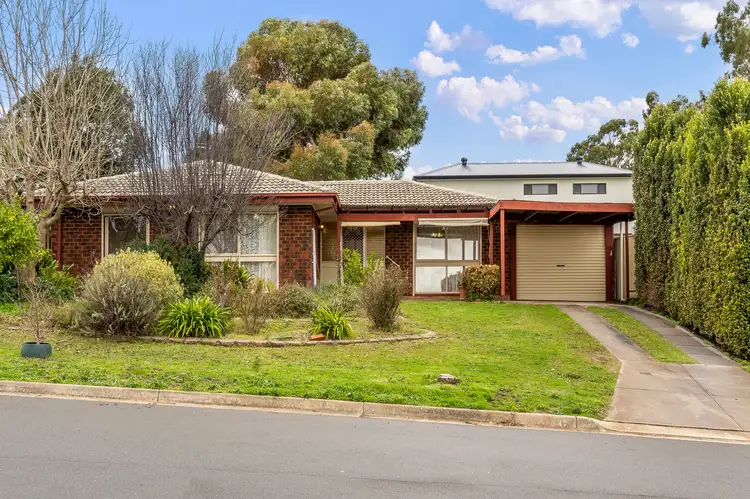 Main view of Homely house listing, 19 Wongabeena Drive, Surrey Downs SA 5126