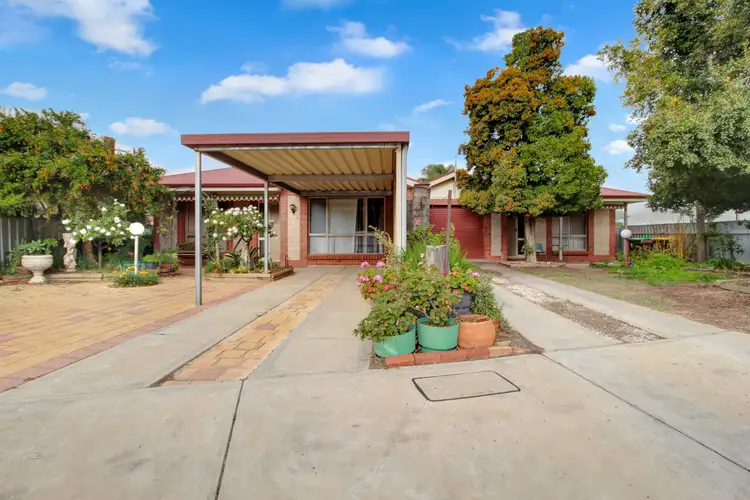 125 Cowra Street, Renmark SA 5341