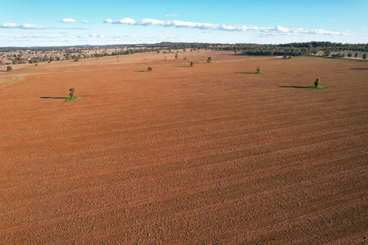 Second view of Homely rural property listing, 'Gleneda'/426 Fitzgerald Road, Burcher NSW 2671