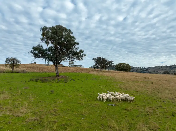'Zara - Dain' 3617 Frogmore Road (Hovells Creek)