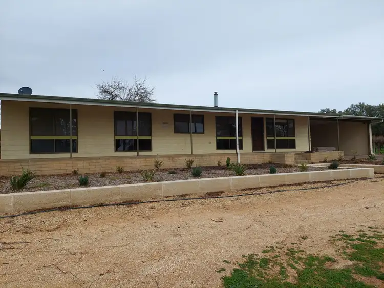 Main view of Homely house listing, 17302 Sturt Highway, Barmera SA 5345