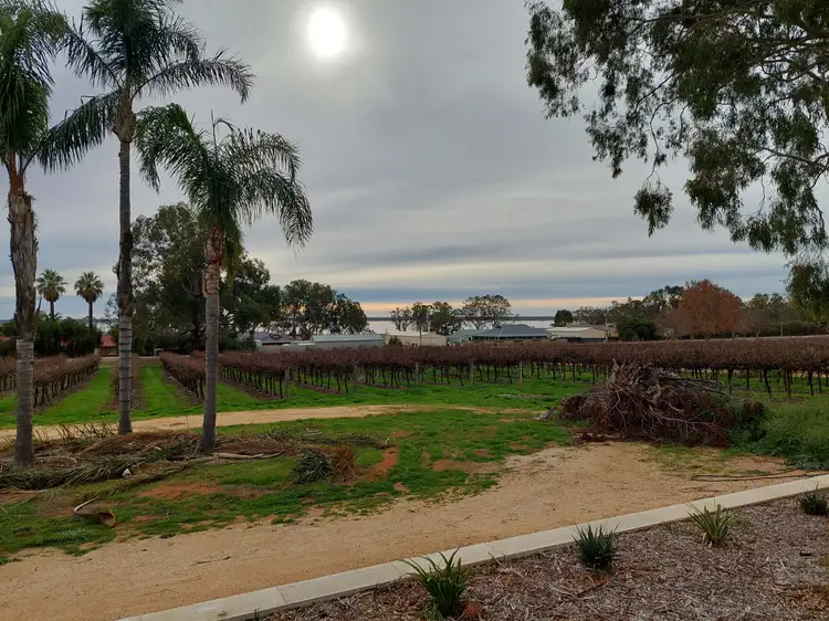 Second view of Homely house listing, 17302 Sturt Highway, Barmera SA 5345