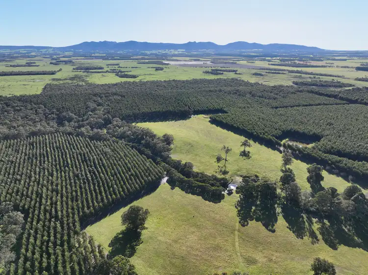 Main view of Homely rural property listing, 1337 Settlement Road, Narrikup WA 6326