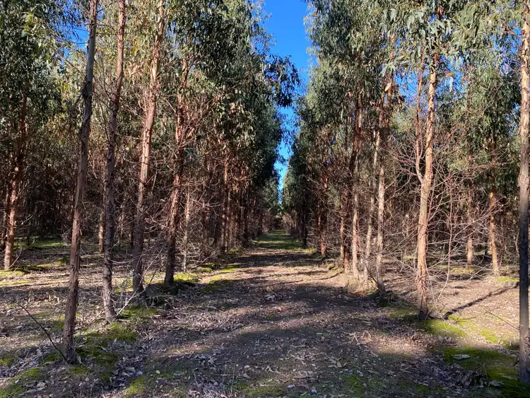 Sixth view of Homely rural property listing, 1337 Settlement Road, Narrikup WA 6326