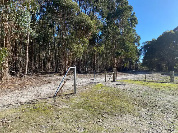 Seventh view of Homely rural property listing, 1337 Settlement Road, Narrikup WA 6326