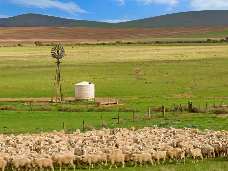 'Carinya' Goyder Highway, Burra SA 5417