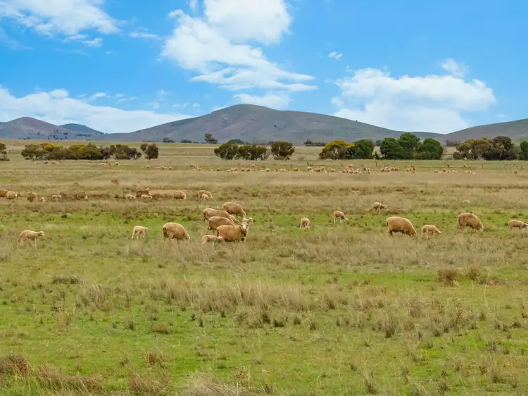 Second view of Homely rural property listing, 'Carinya' Goyder Highway, Burra SA 5417