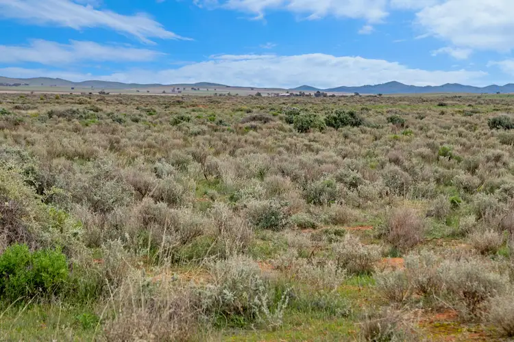 Third view of Homely rural property listing, 'Carinya' Goyder Highway, Burra SA 5417