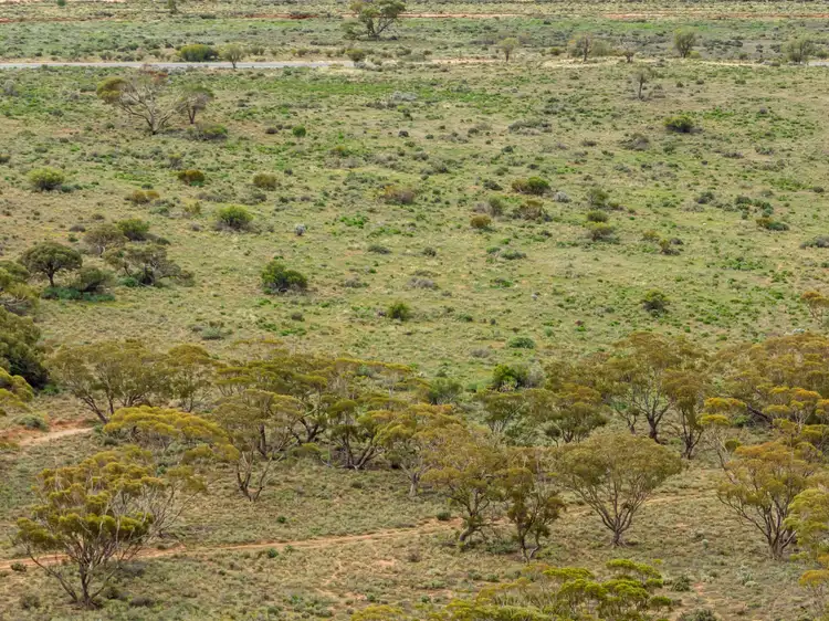 Fourth view of Homely rural property listing, 'Carinya' Goyder Highway, Burra SA 5417