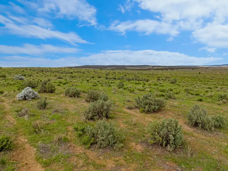 Seventh view of Homely rural property listing, 'Carinya' Goyder Highway, Burra SA 5417