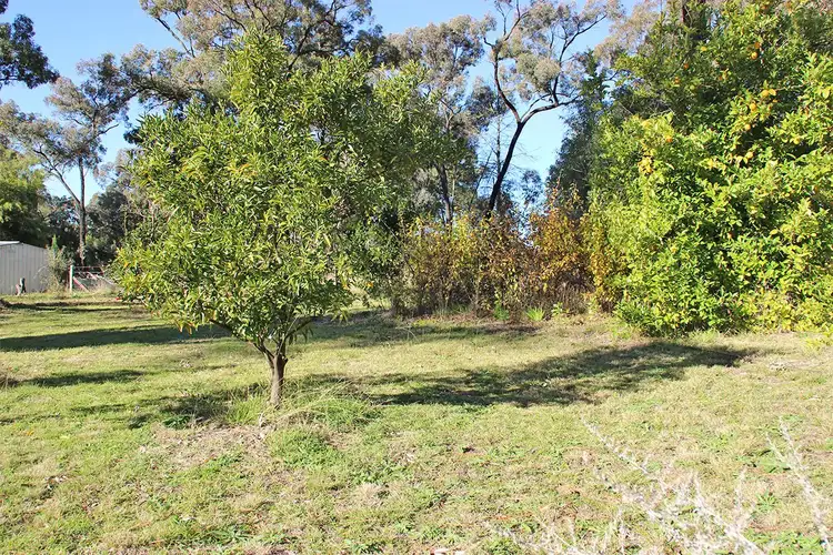 Third view of Homely rural property listing, 31 CARRINGTON Lane, Coonabarabran NSW 2357