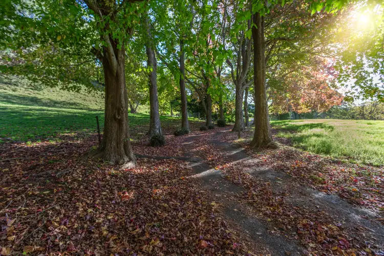 Fourth view of Homely rural property listing, 47 Nuninuna Drive, Jamberoo NSW 2533
