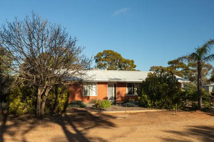 Main view of Homely house listing, 204 Badcoe Road, Loxton SA 5333