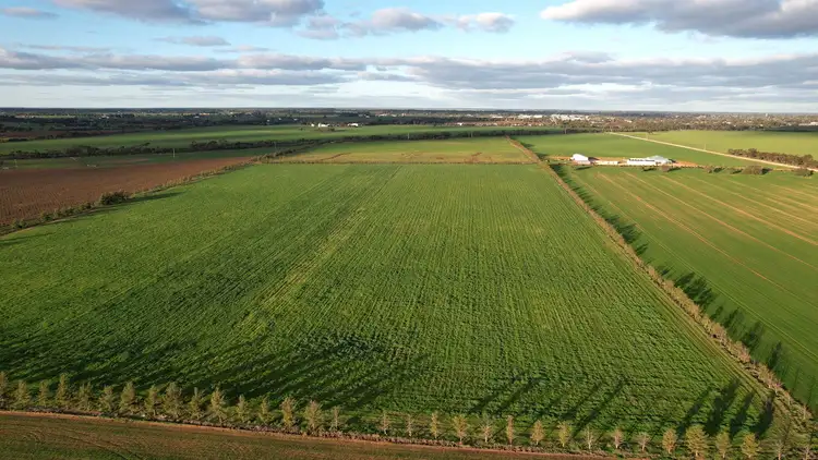 Fourth view of Homely rural property listing, 345 Woorinen Road, Swan Hill VIC 3585
