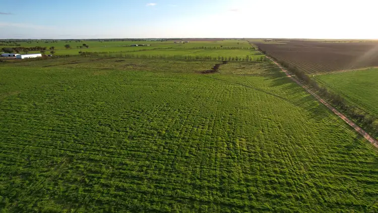 Fifth view of Homely rural property listing, 345 Woorinen Road, Swan Hill VIC 3585