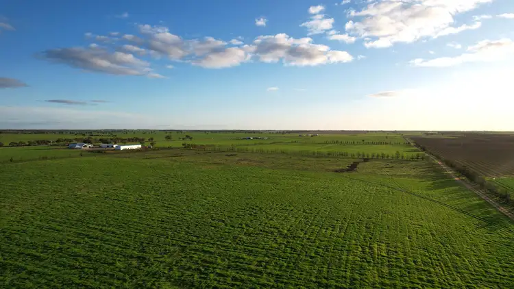 Sixth view of Homely rural property listing, 345 Woorinen Road, Swan Hill VIC 3585