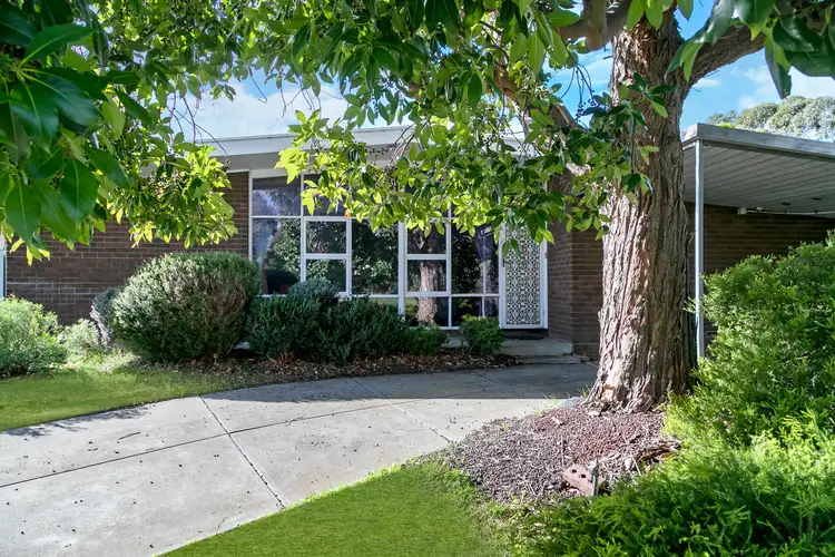 43 Armstrong Crescent, Modbury North SA 5092
